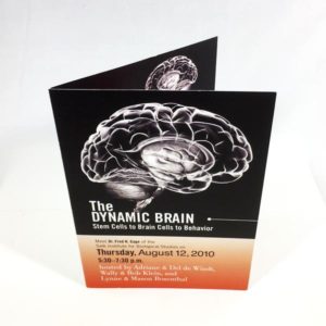 Folding Cards<br>6"x 9"<br>10pt Uncoated Cover<br>1-3 days